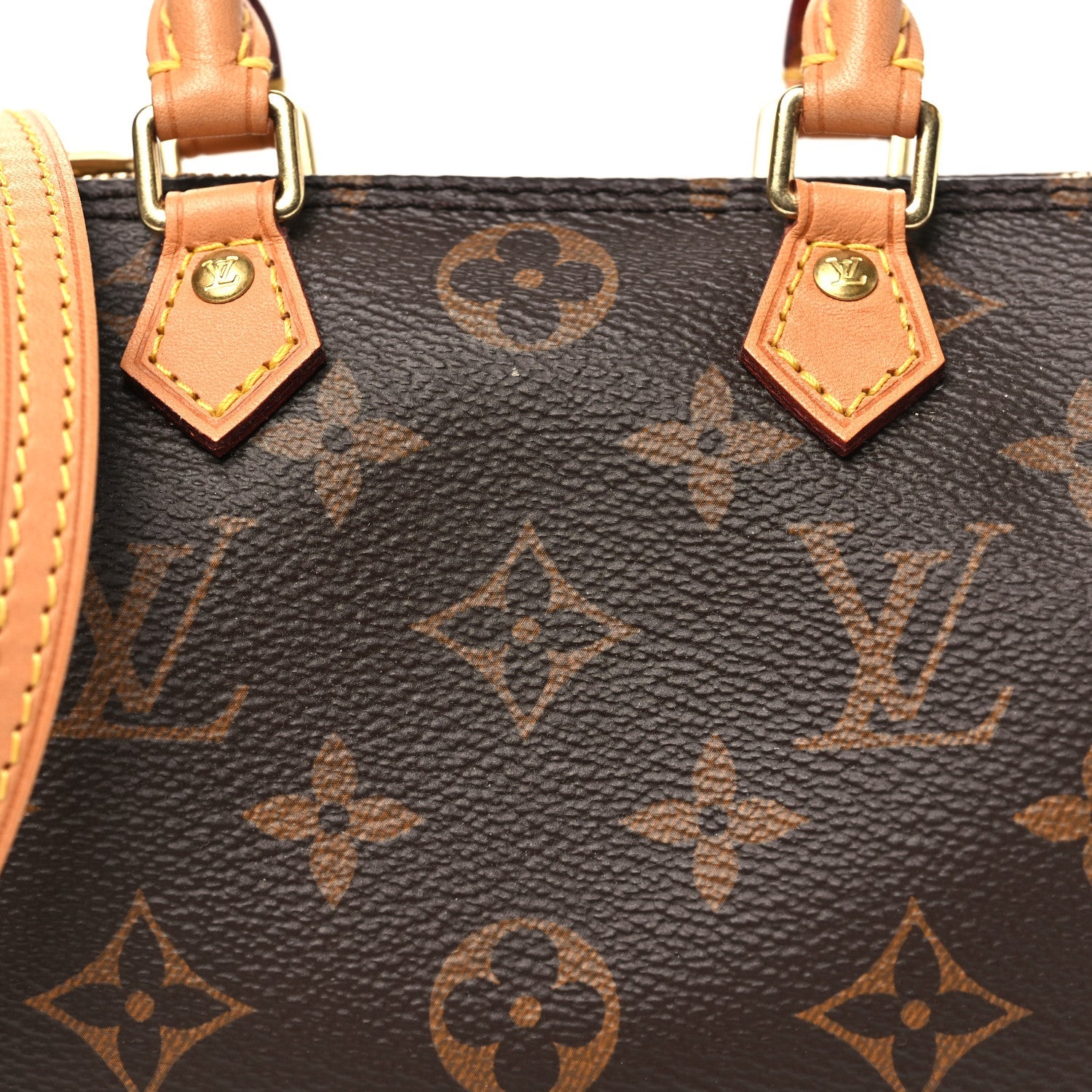 Monogram Nano Speedy