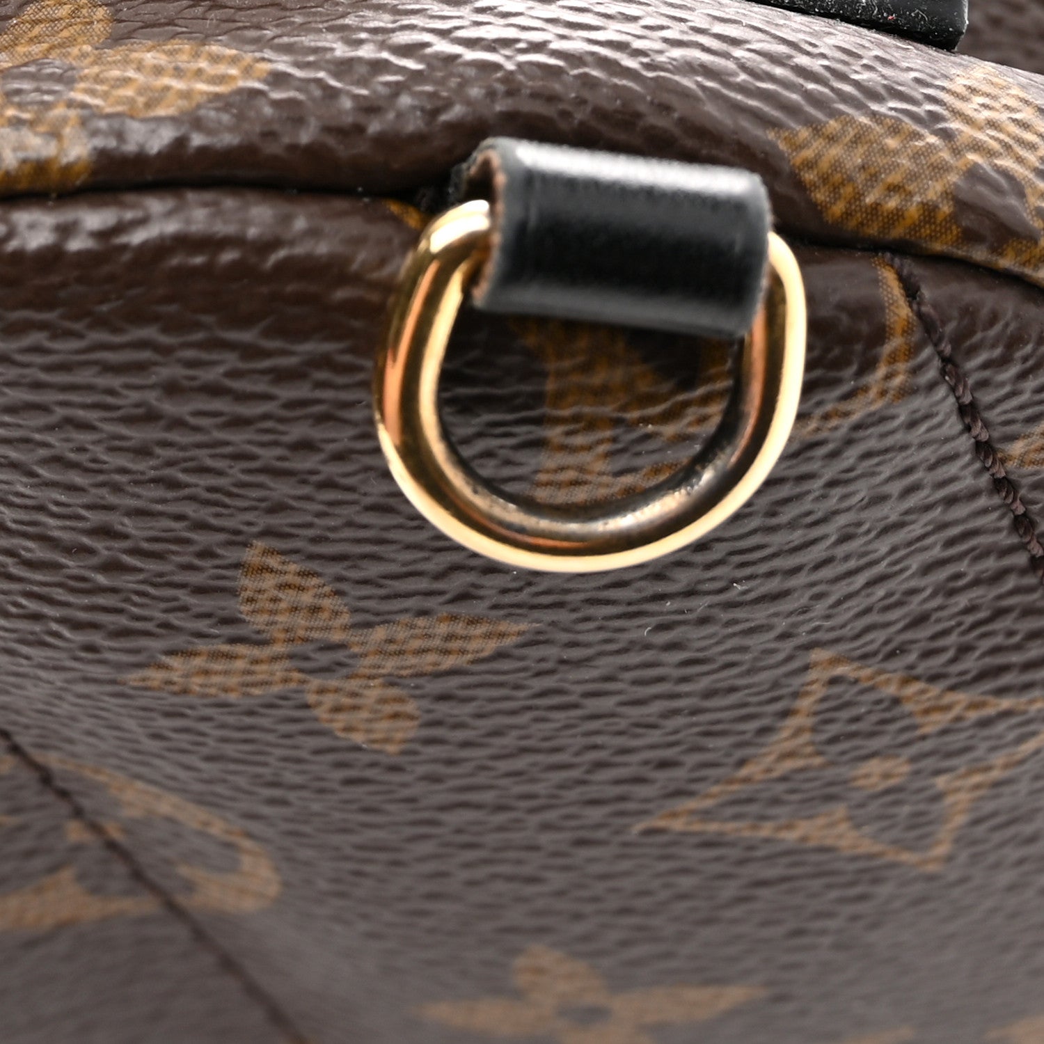 Monogram Palm Springs Backpack Mini