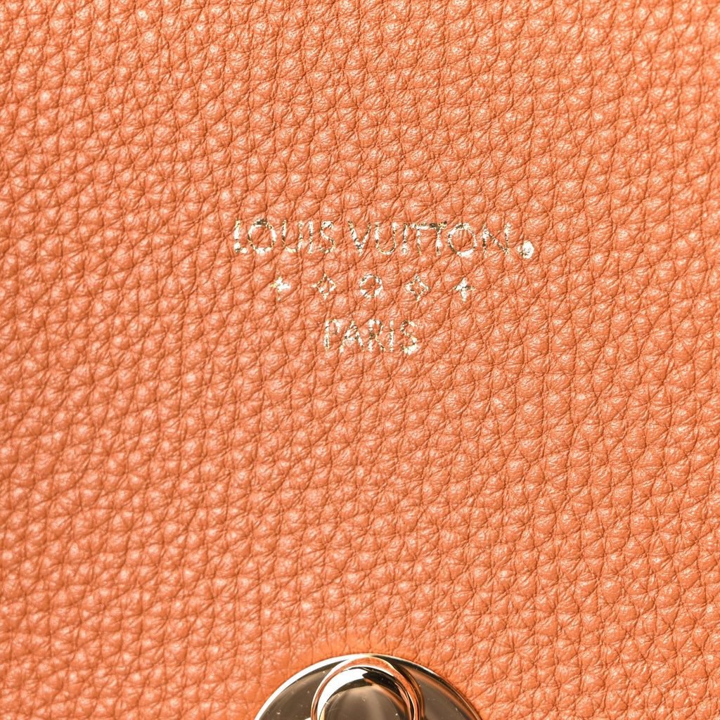 Grained Calfskin LV Pont 9 Soft MM Golden Siena