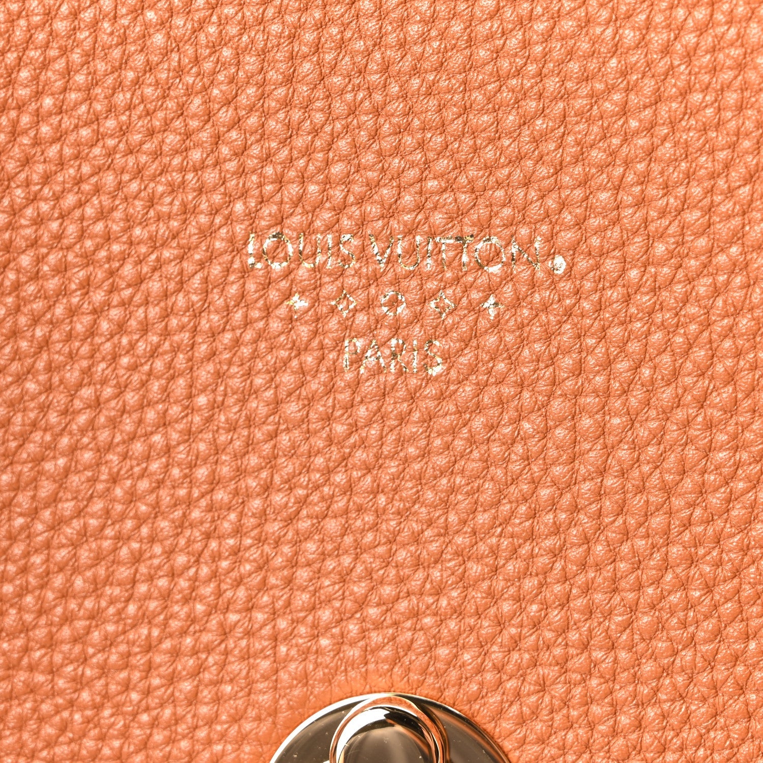 Grained Calfskin LV Pont 9 Soft MM Golden Siena