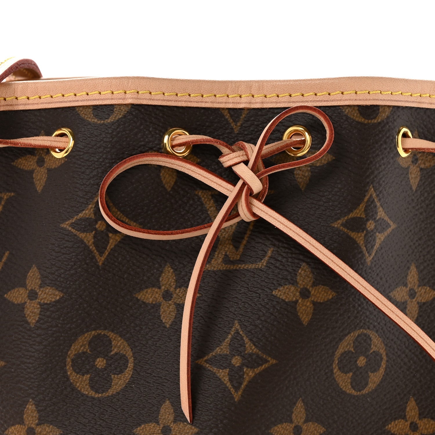Monogram Nano Noe