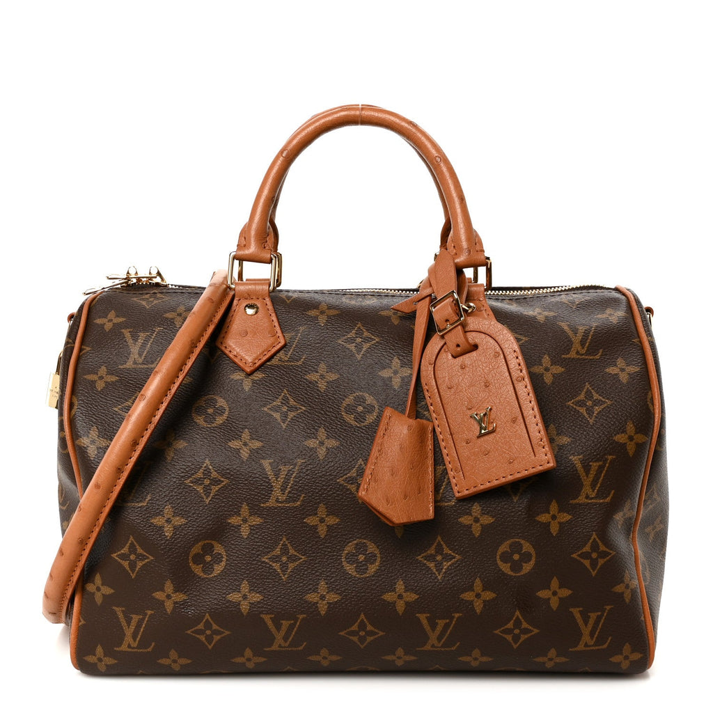 Monogram Speedy Soft 30 Boho