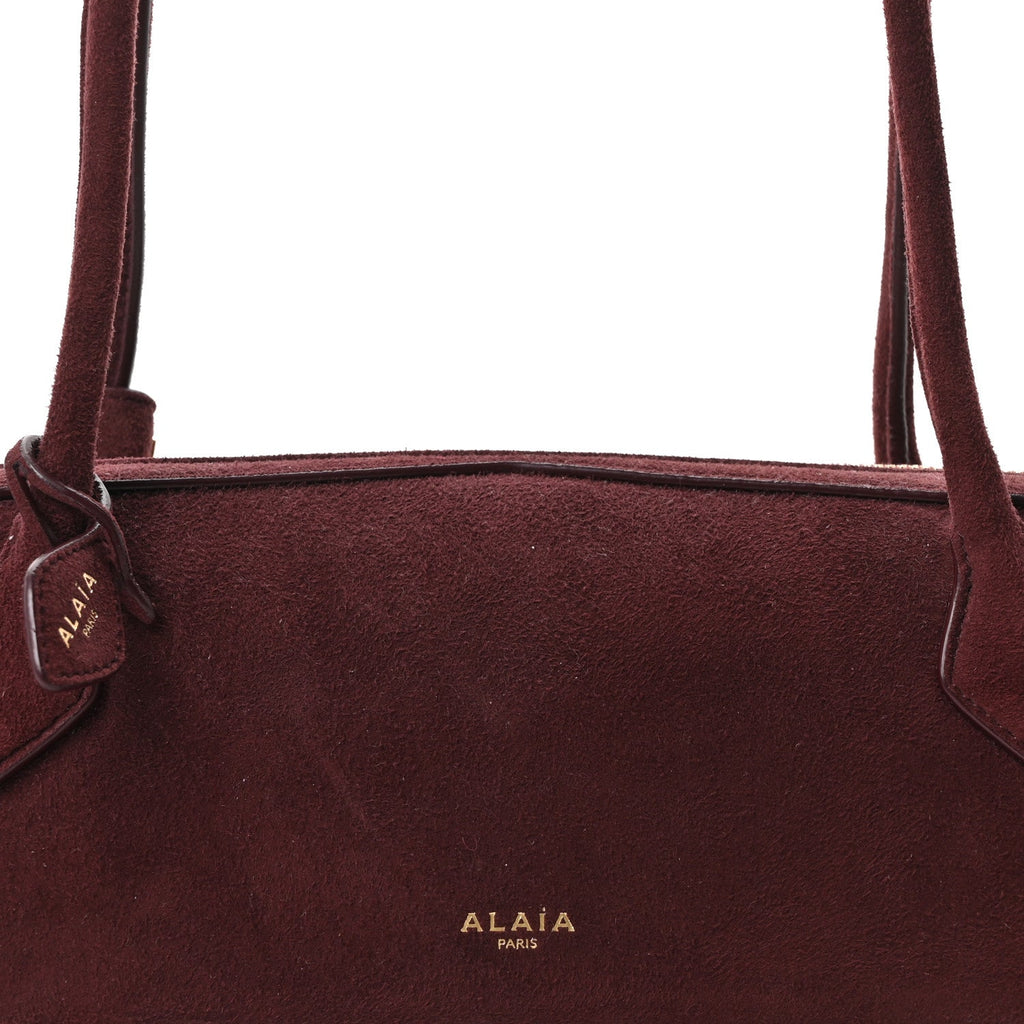 Suede Goatskin Medium Le Teckel Bag Rouge Grenat