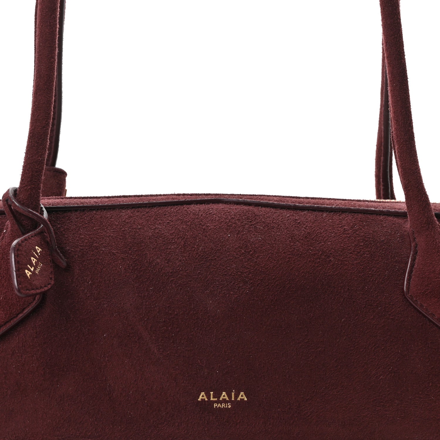 Suede Goatskin Medium Le Teckel Bag Rouge Grenat