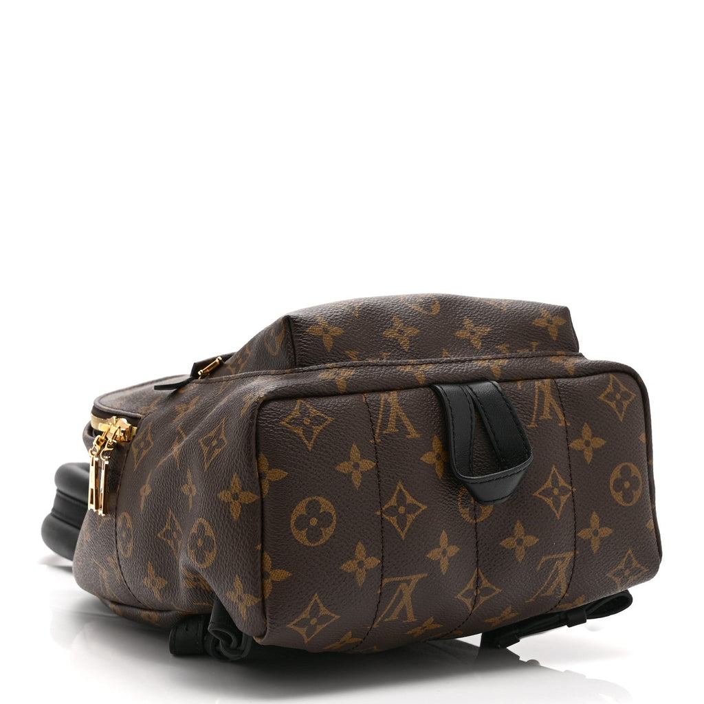 Monogram Palm Springs Backpack PM