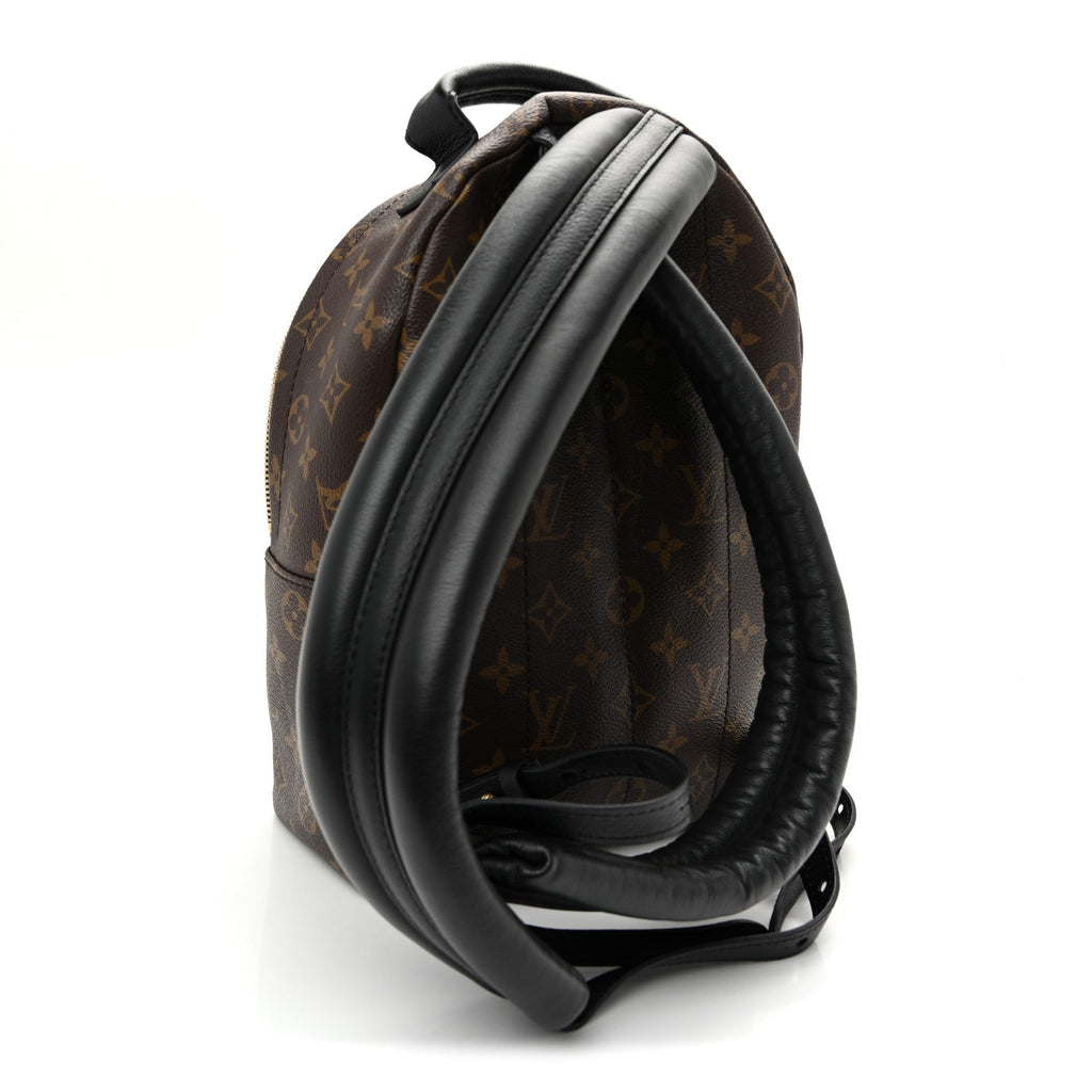 Monogram Palm Springs Backpack PM