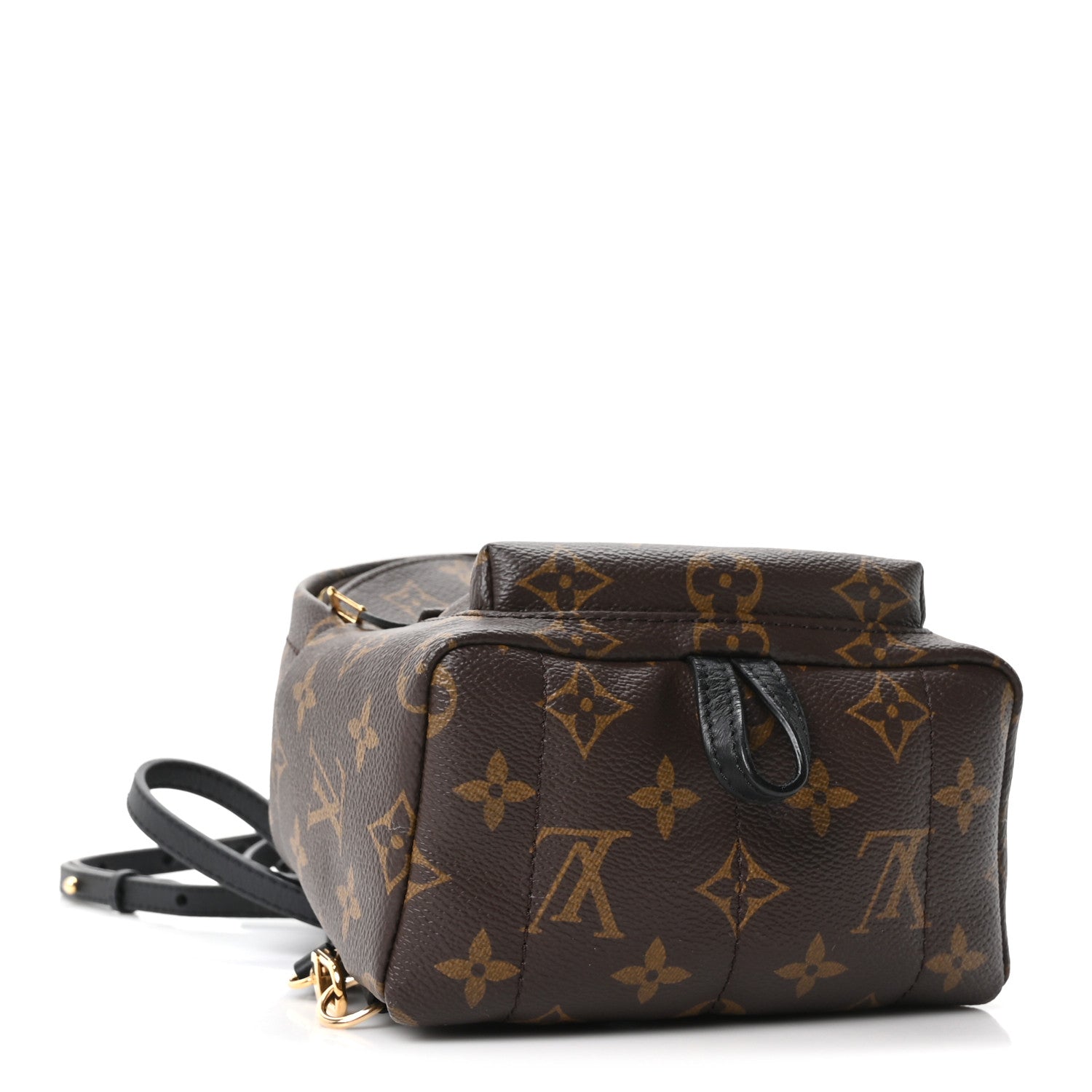 Monogram Palm Springs Backpack Mini