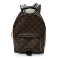 Monogram Palm Springs Backpack PM