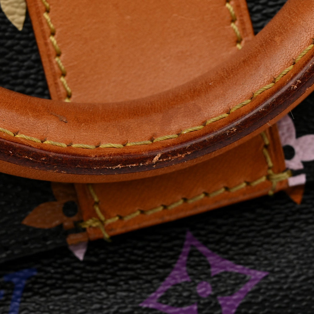 Monogram Multicolor Speedy 30 Black