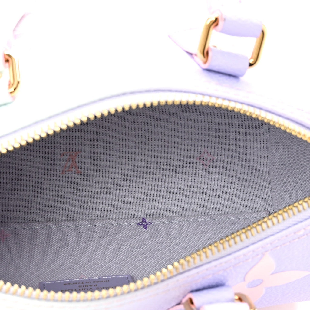 Monogram Giant Spring In The City Papillon BB Sunrise Pastel