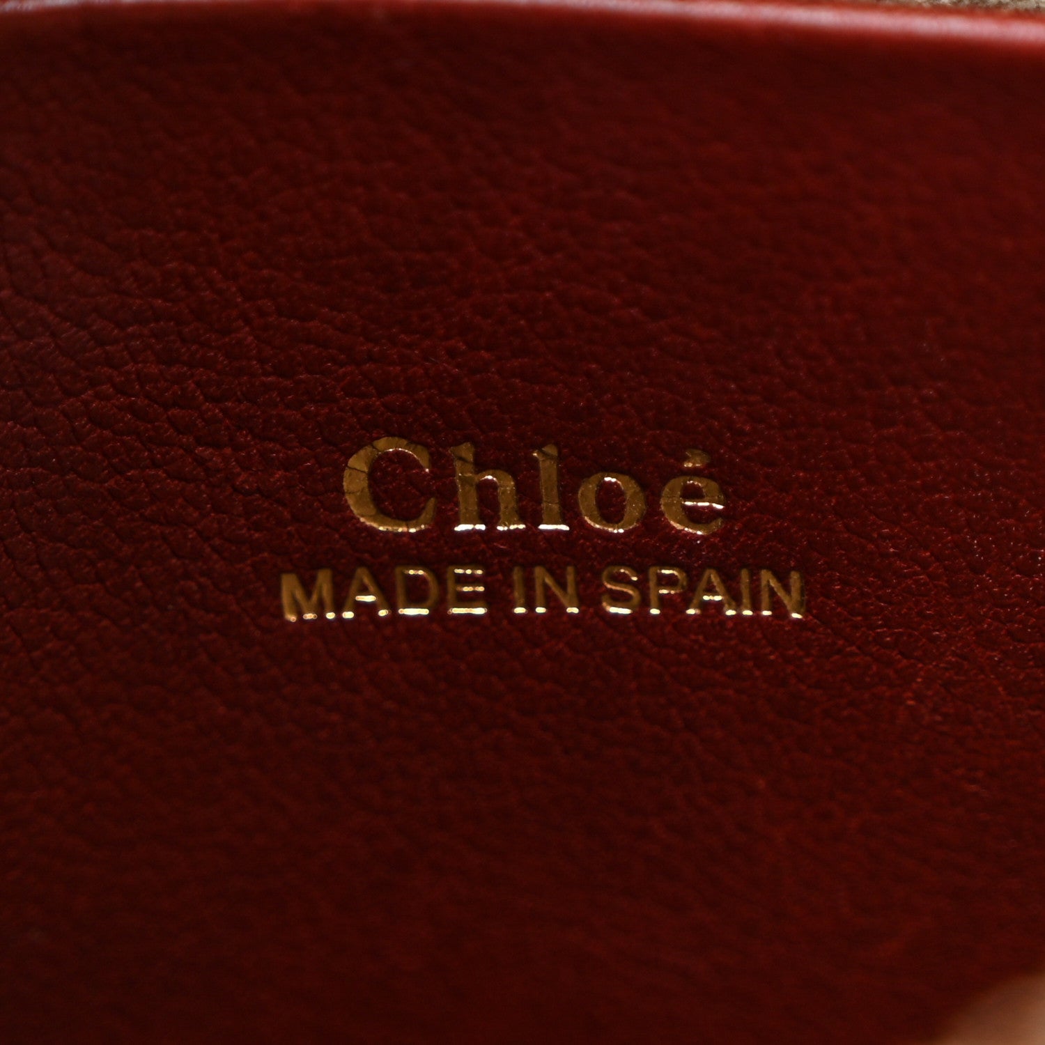 Grained Calfskin Nano Hayley Hobo Sienna Red