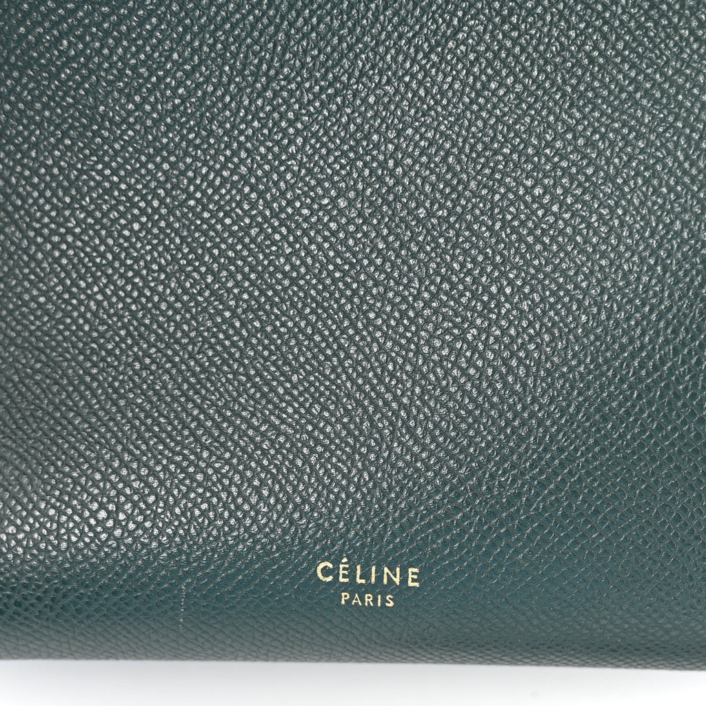 Grained Calfskin Micro Belt Bag Amazone
