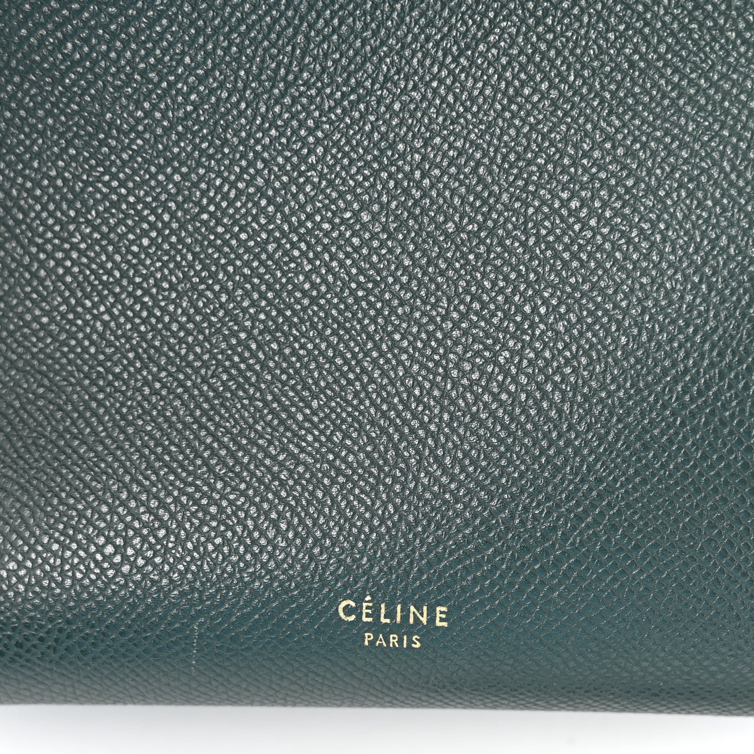 Grained Calfskin Micro Belt Bag Amazone
