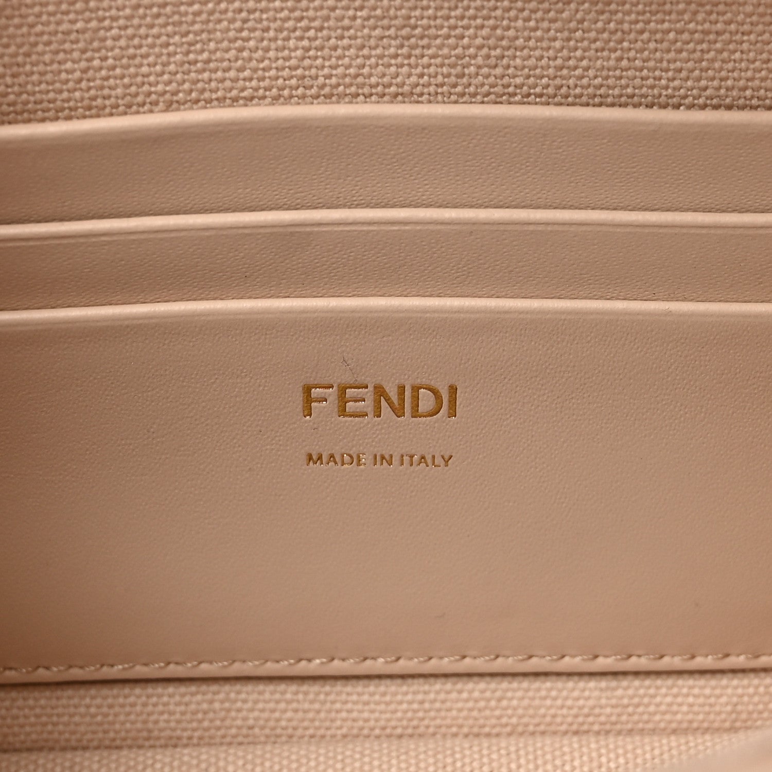 Canvas Vitello King Bi-Color Strap FF Embroidered Mini Baguette Poudre