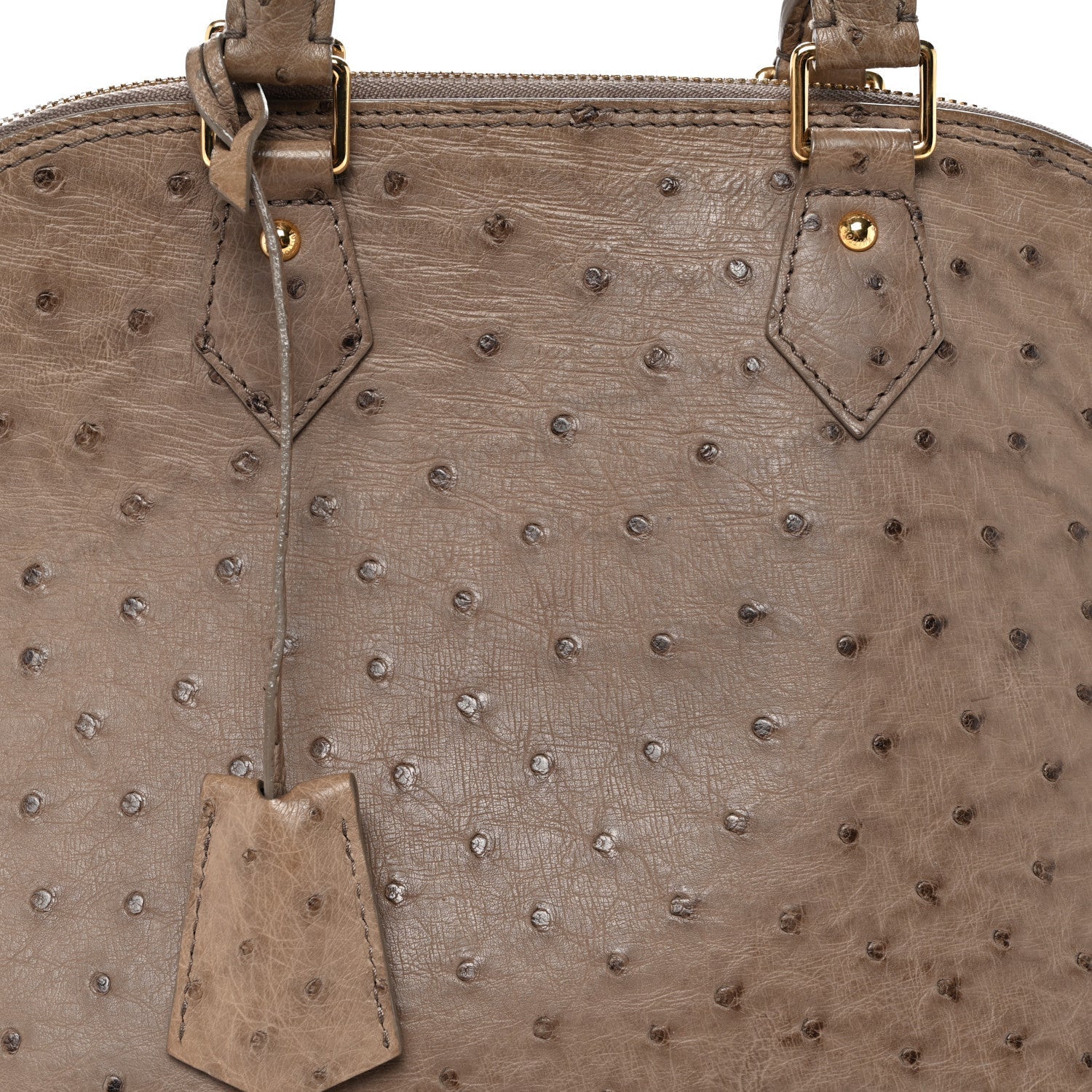 Ostrich Alma PM Gris