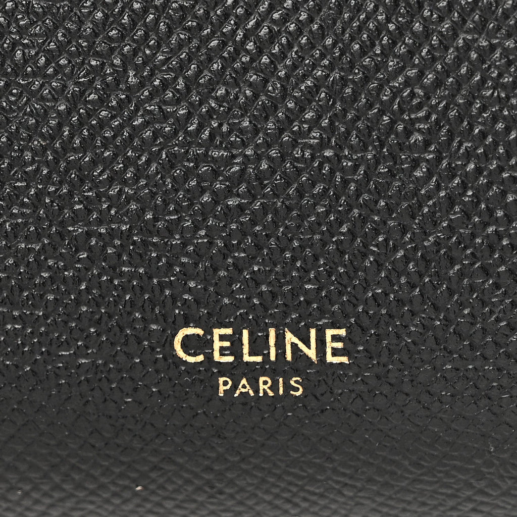 Grained Calfskin Pico Belt Bag Black