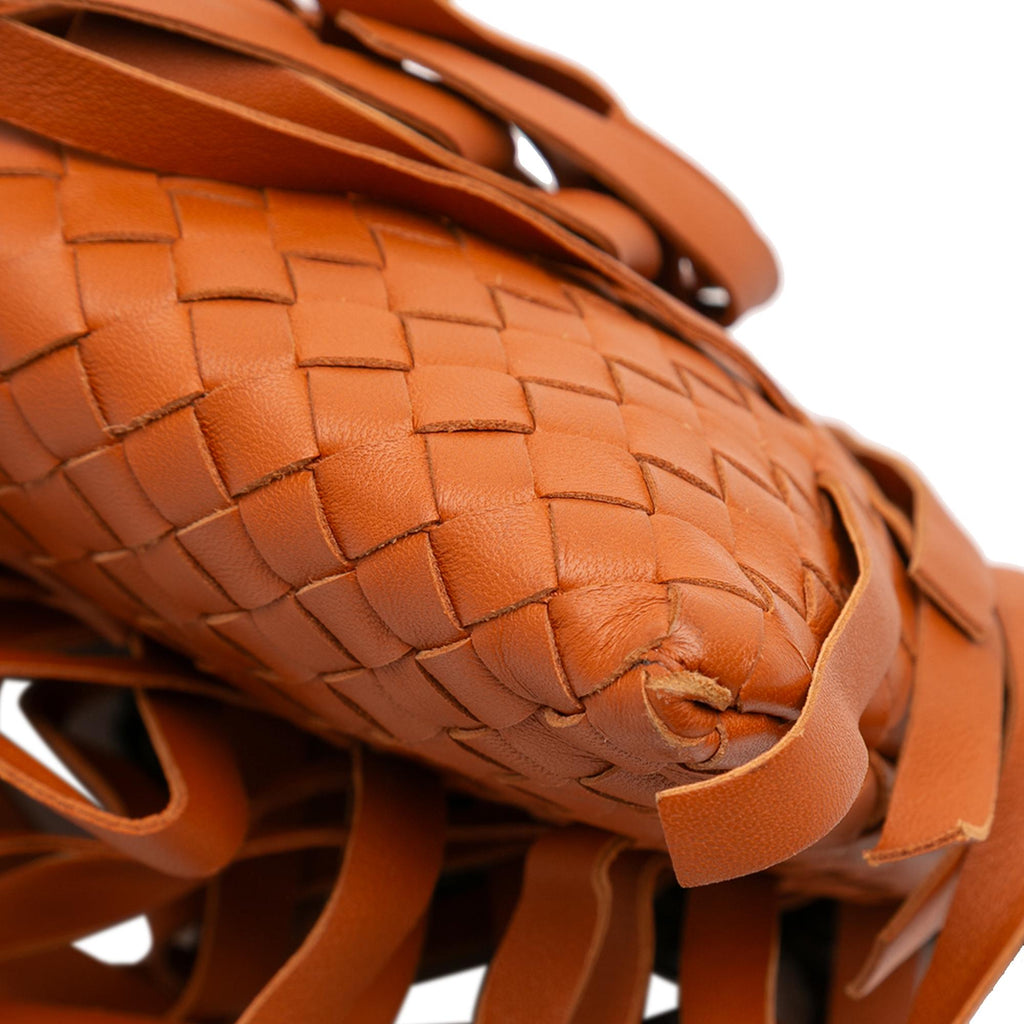 Bottega Veneta Nappa Intrecciato Palio Fringe Chain Crossbody