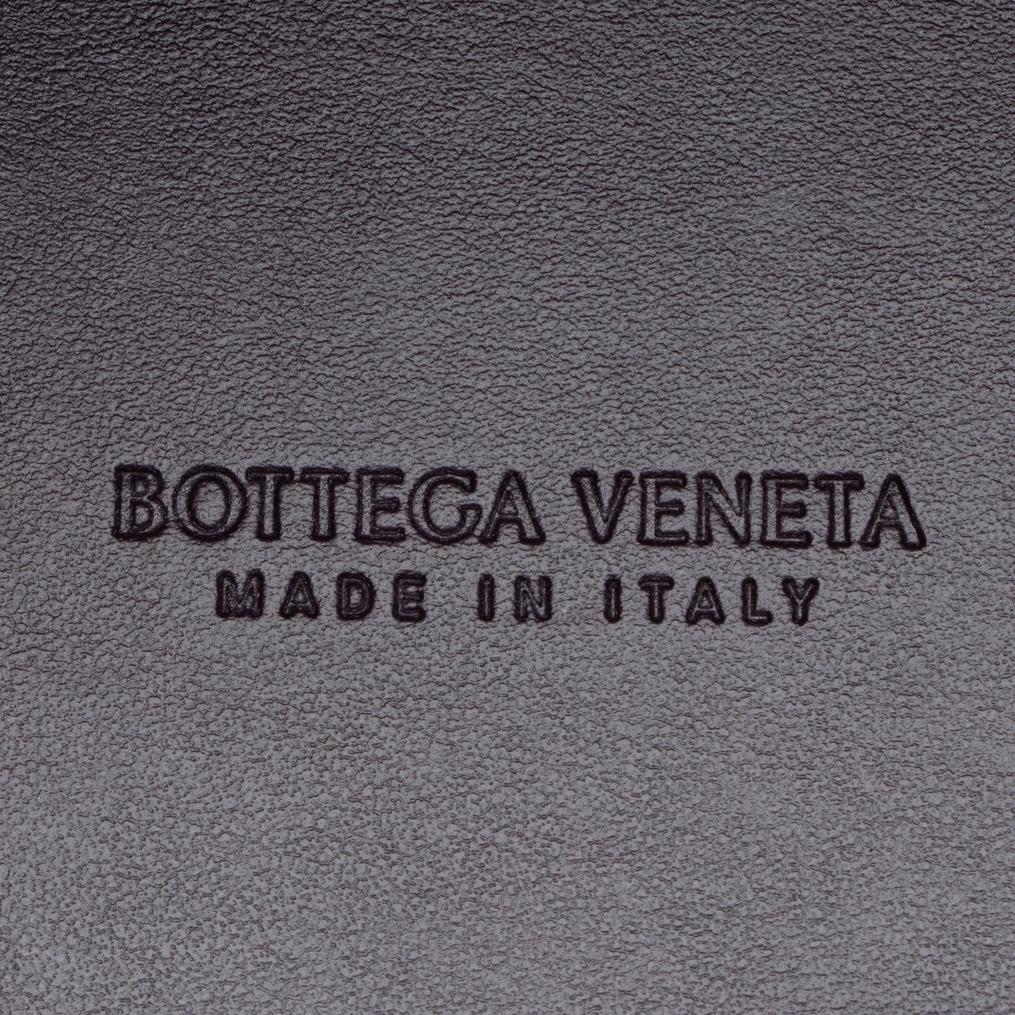 Bottega Veneta Pleated Calfskin Arco Small Tote