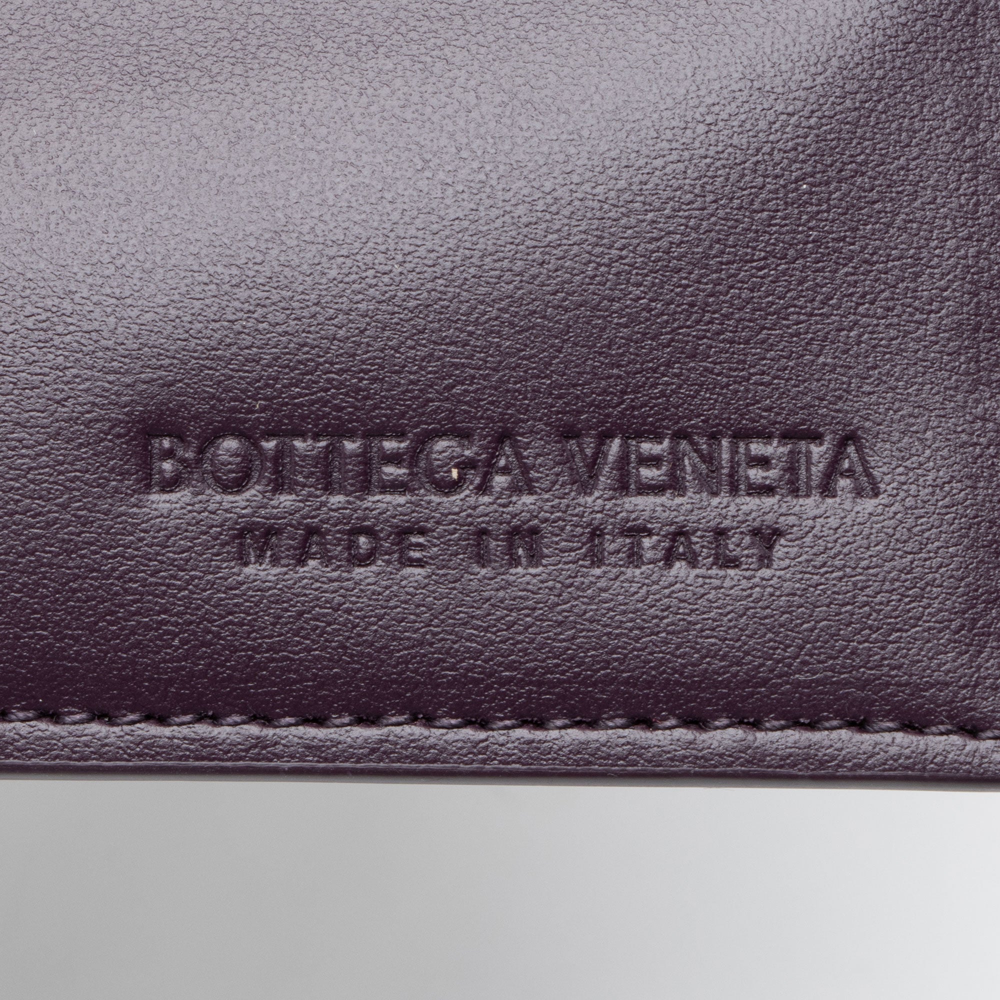 Bottega Veneta Pleated Calfskin Arco Small Tote