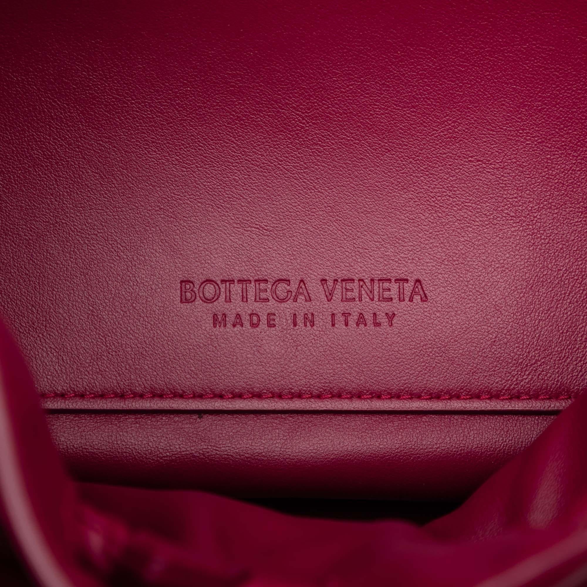 Bottega Veneta Small Calf Beak Bag