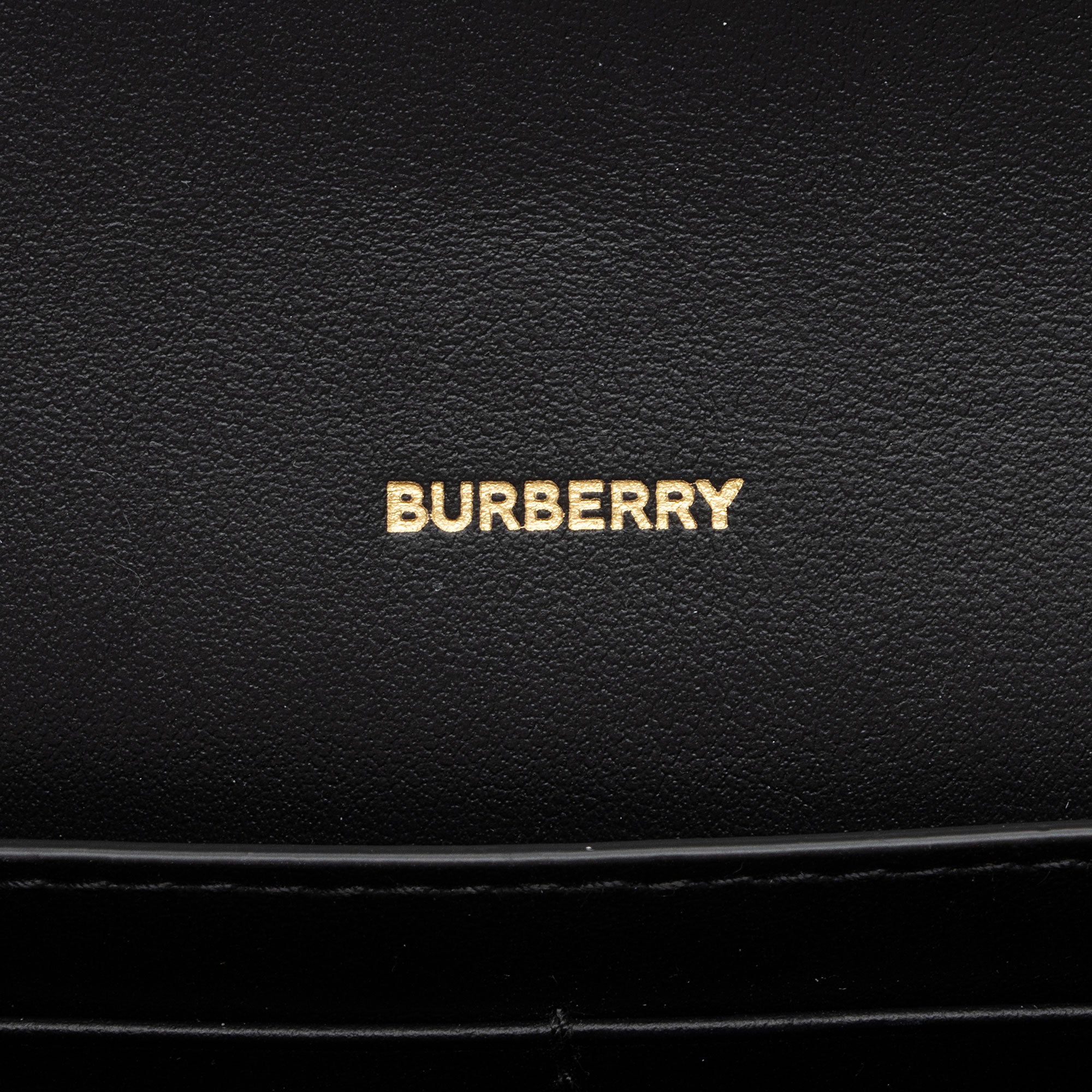 Burberry E-Canvas Icon Stripe Hannah Wallet on Strap (SHF-T6fpoo)