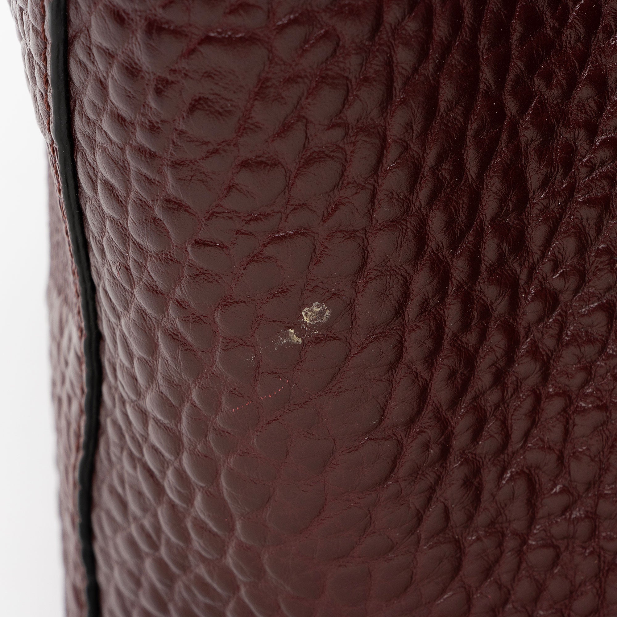 Burberry Embossed Leather Check Canterbury Small Tote