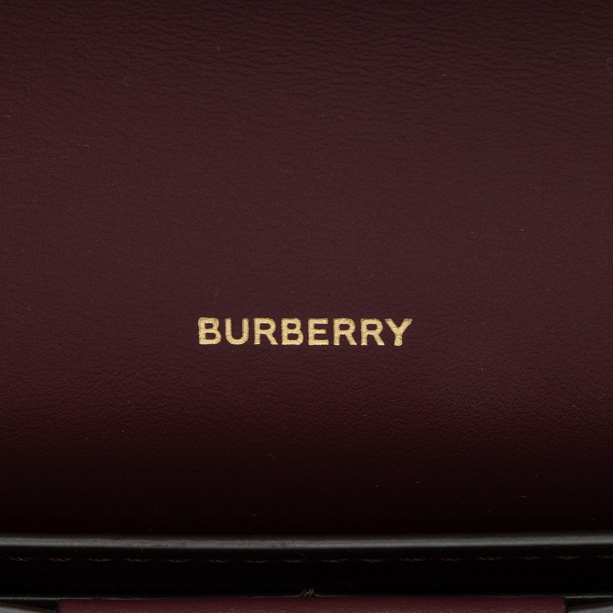 Burberry Leather Hazelmere Wallet On Strap (SHF-A5ZxMt)