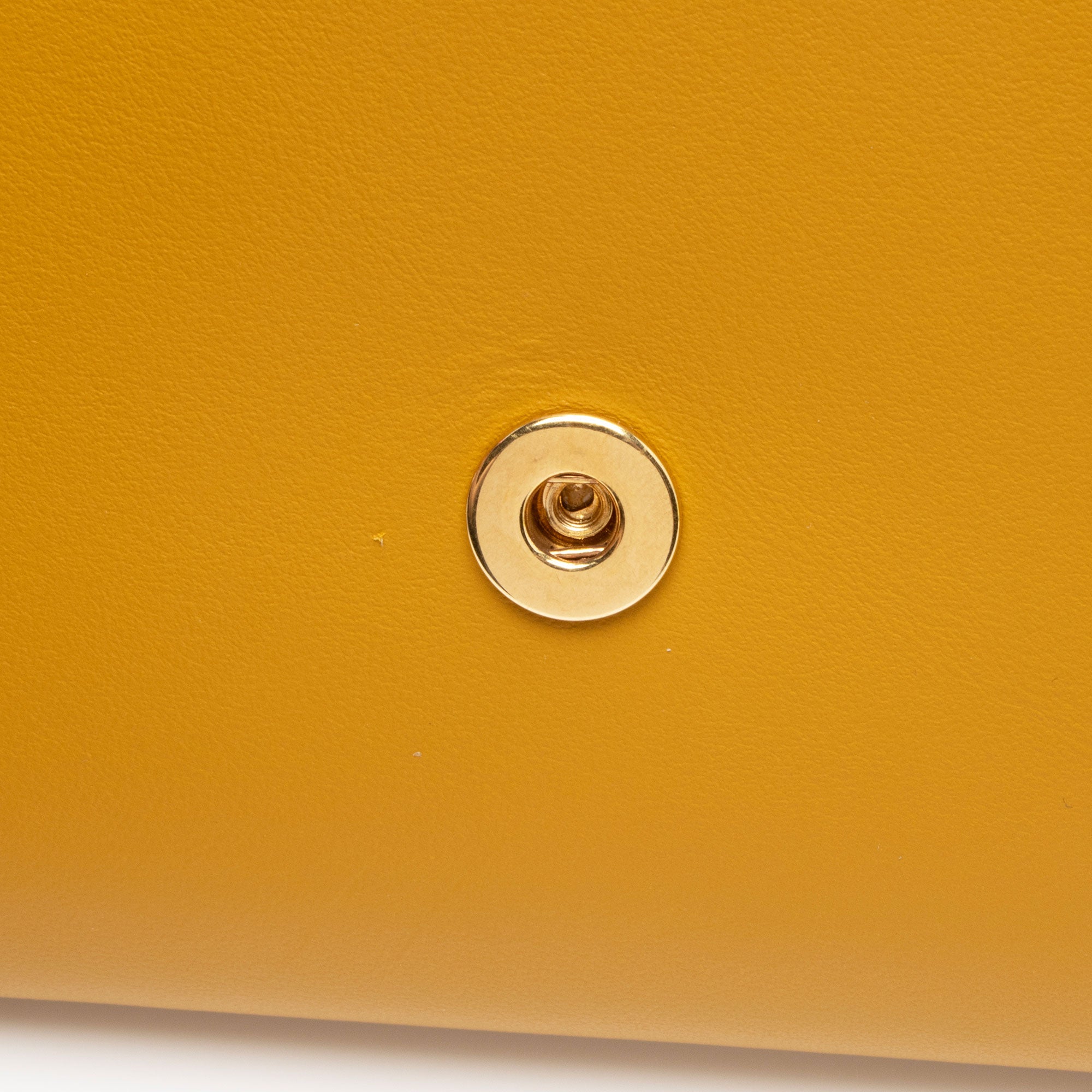 Burberry Leather Hazelmere Wallet on Strap (SHF-PITQIN)