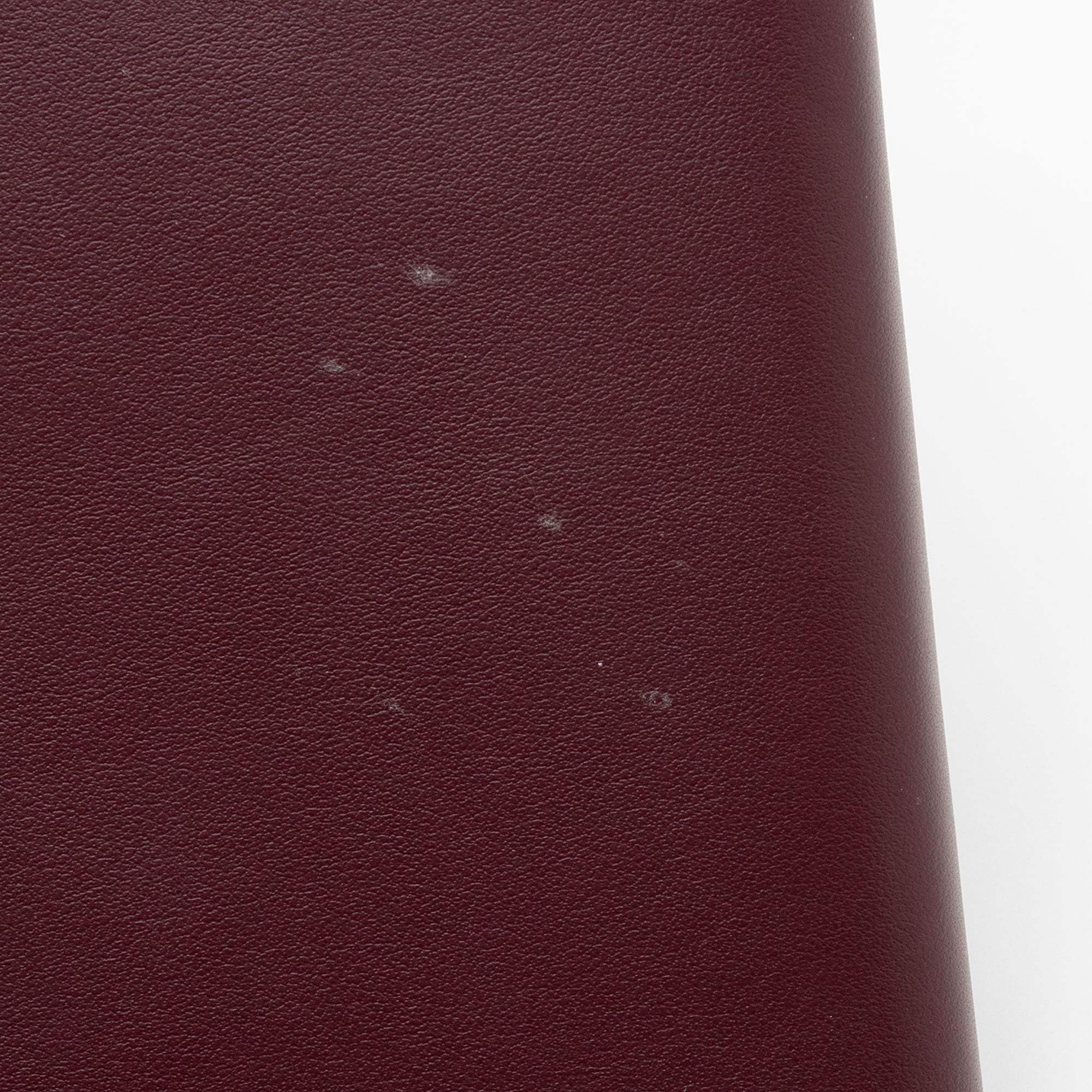 Burberry Leather Hazelmere Wallet on Strap (SHF-waAZED)