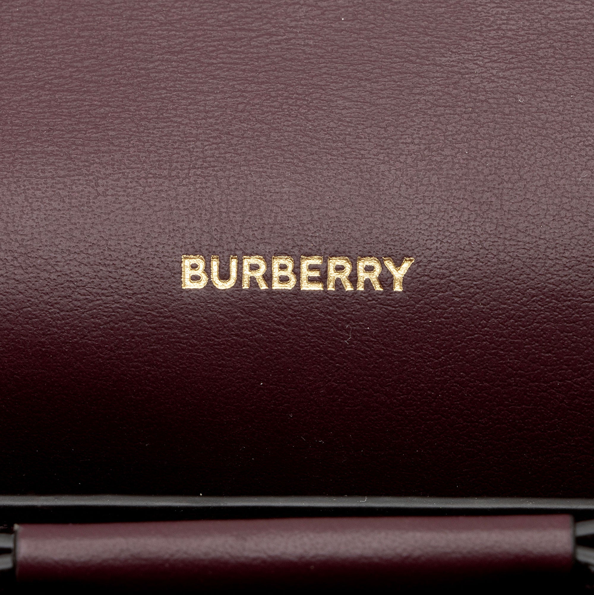 Burberry Leather Hazelmere Wallet On Strap (SHF-ggIvOR)