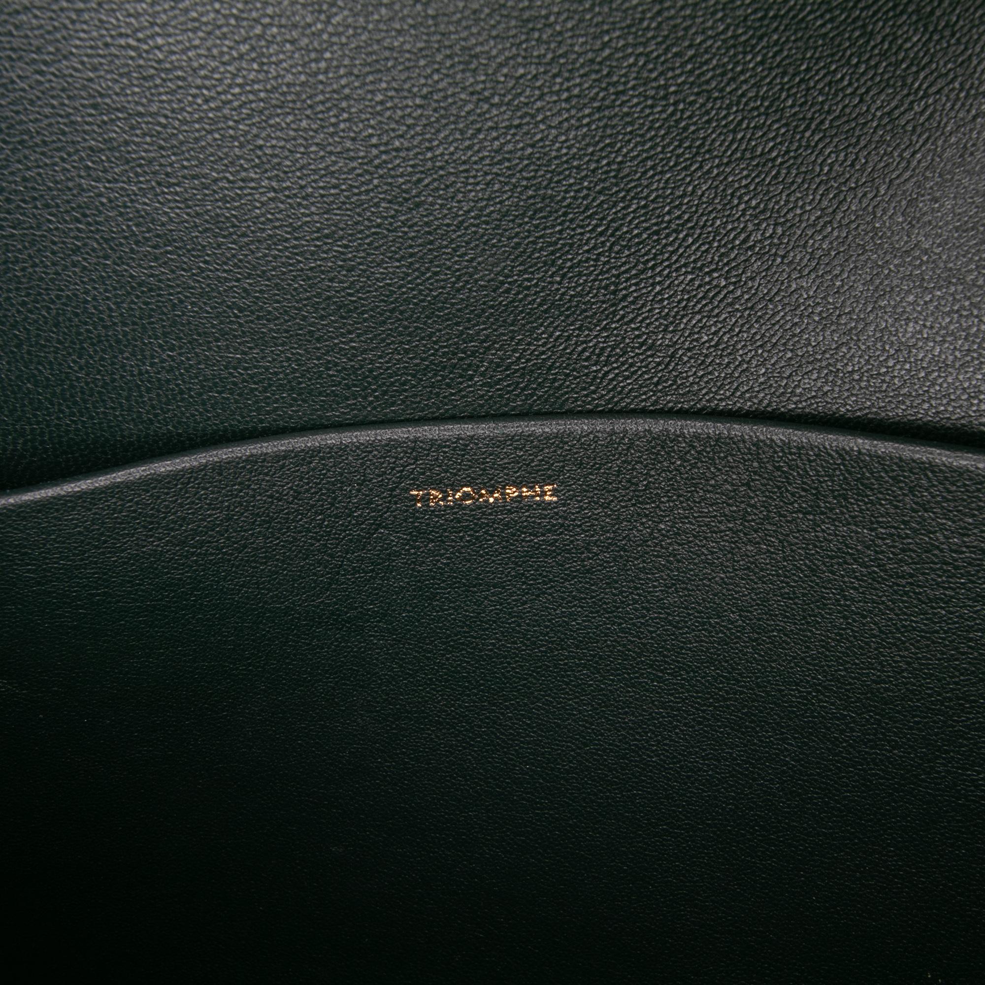 Celine Classique Shiny Calfskin Triomphe Crossbody