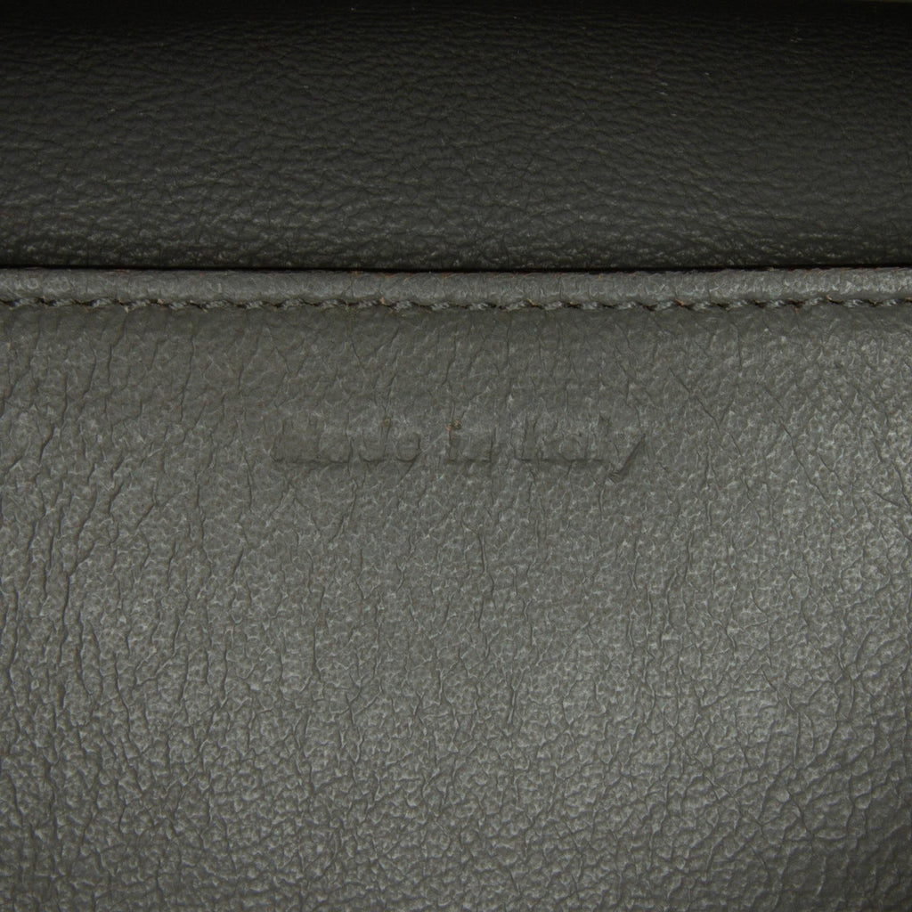 Celine Frame Shoulder Bag (SHG-wSQihg)