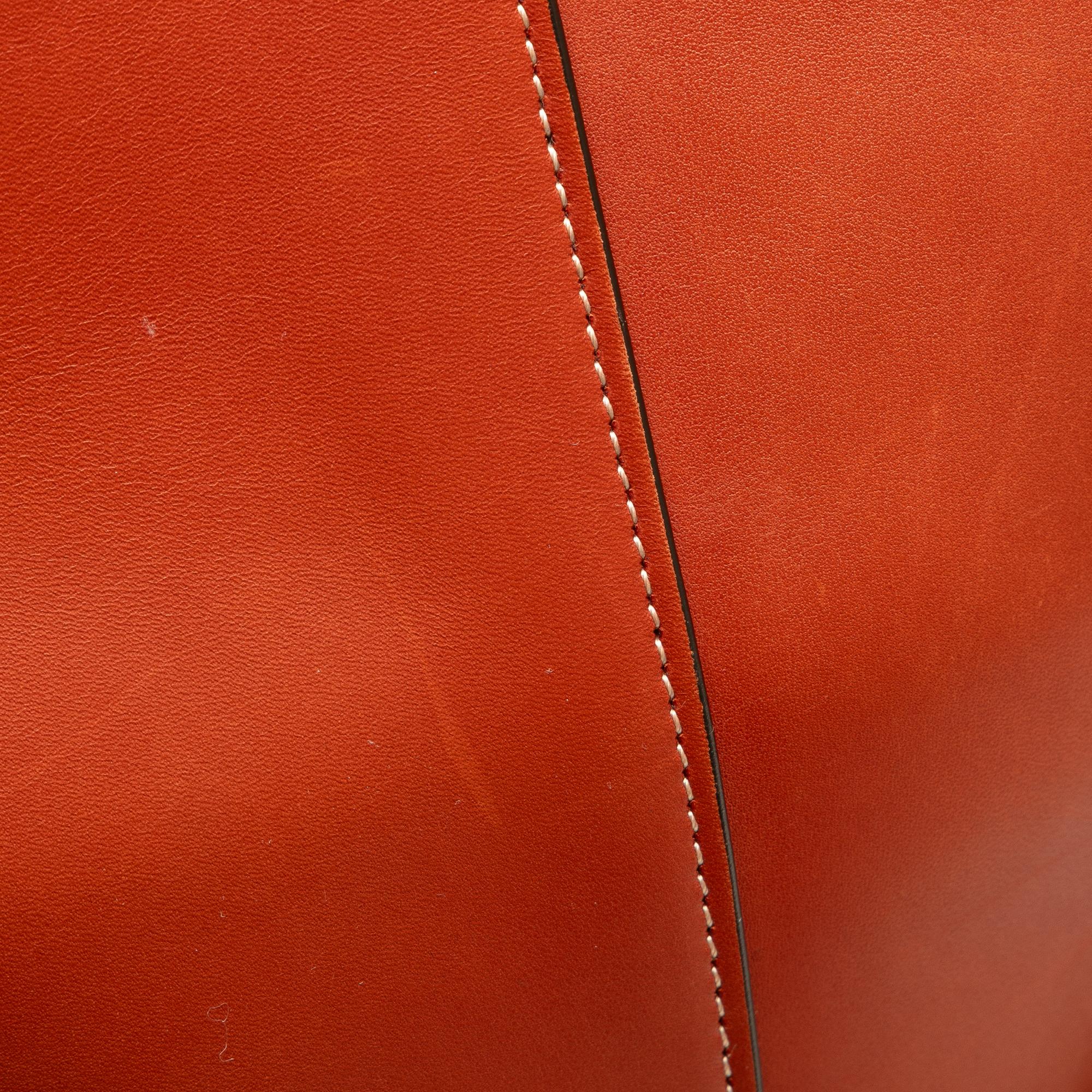 Celine Large Holdall Bucket Bag (SHG-ookQHF)