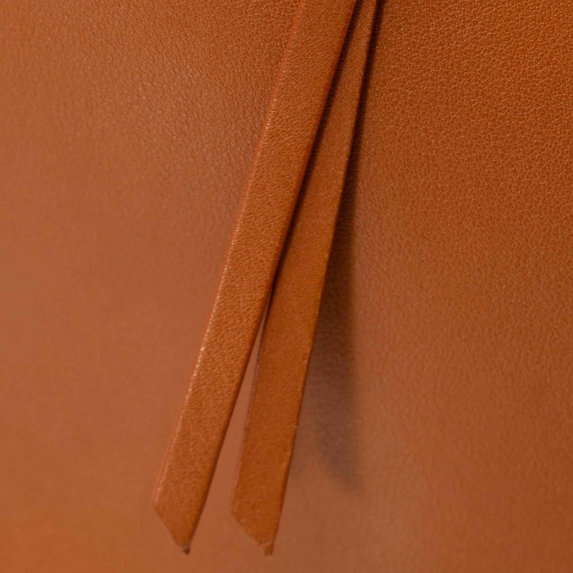 Celine MIni Bicolor Belt Bag