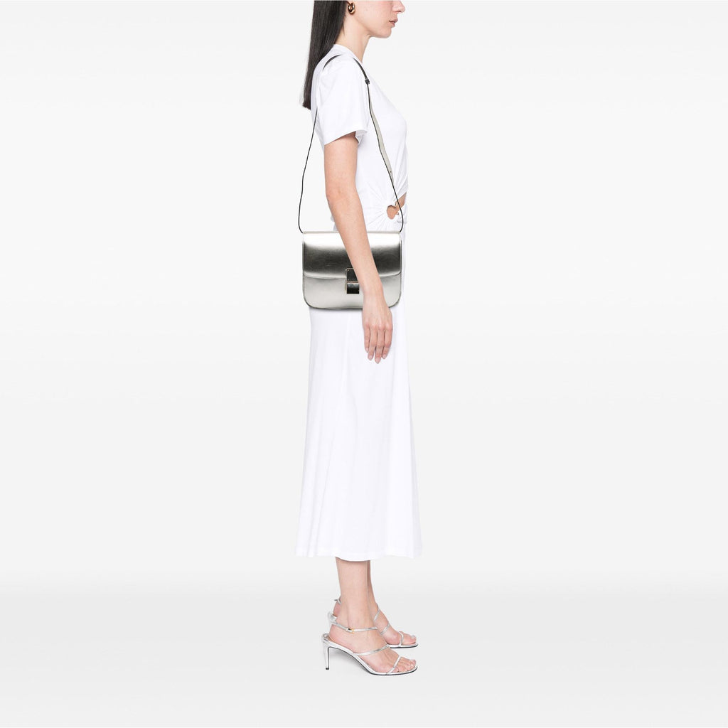Celine Medium Calfskin Classic Box