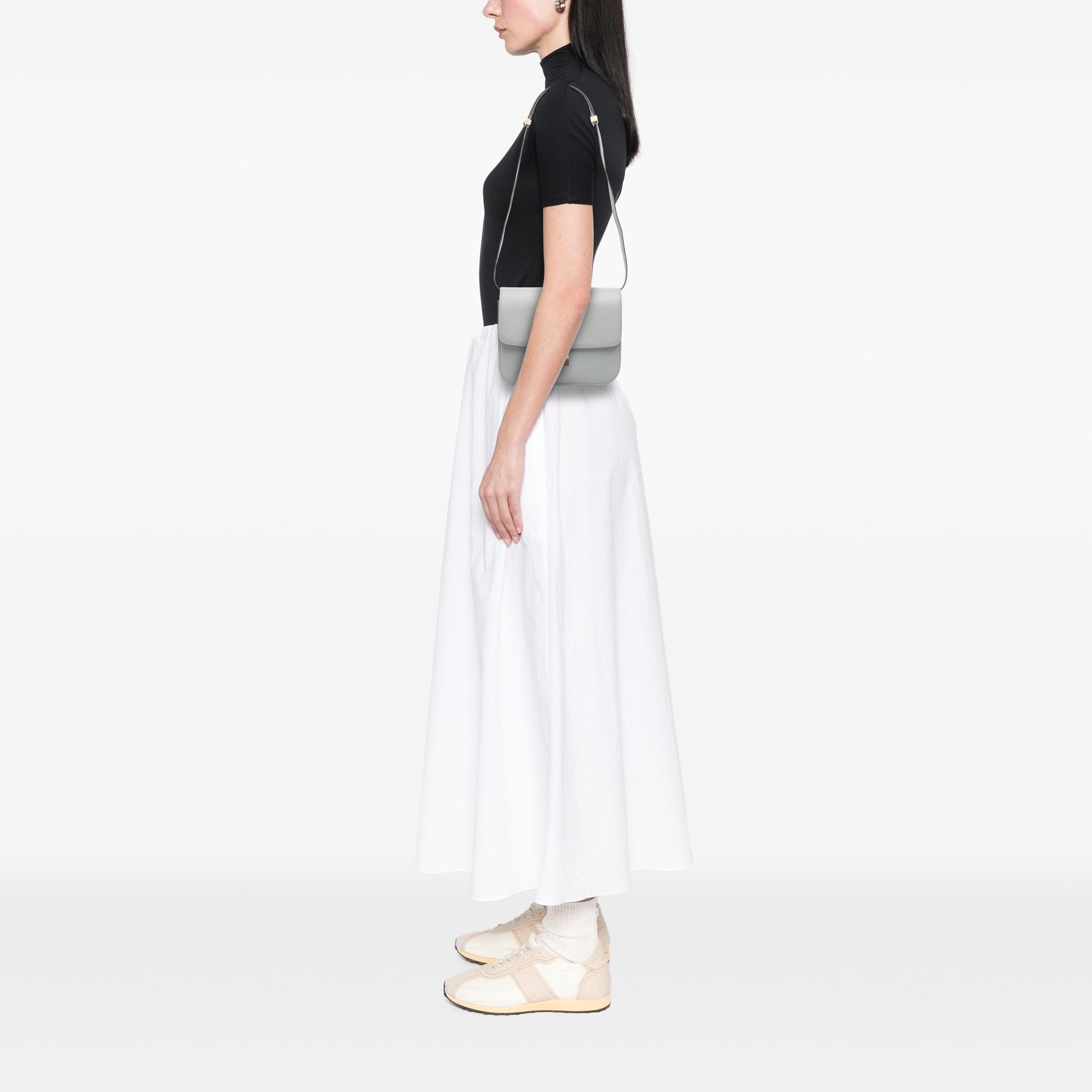 Celine Medium Calfskin Classic Box