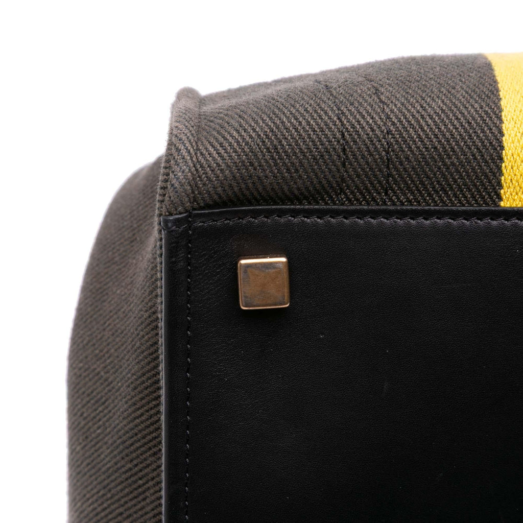 Celine Medium Canvas Striped Phantom Luggage Tote