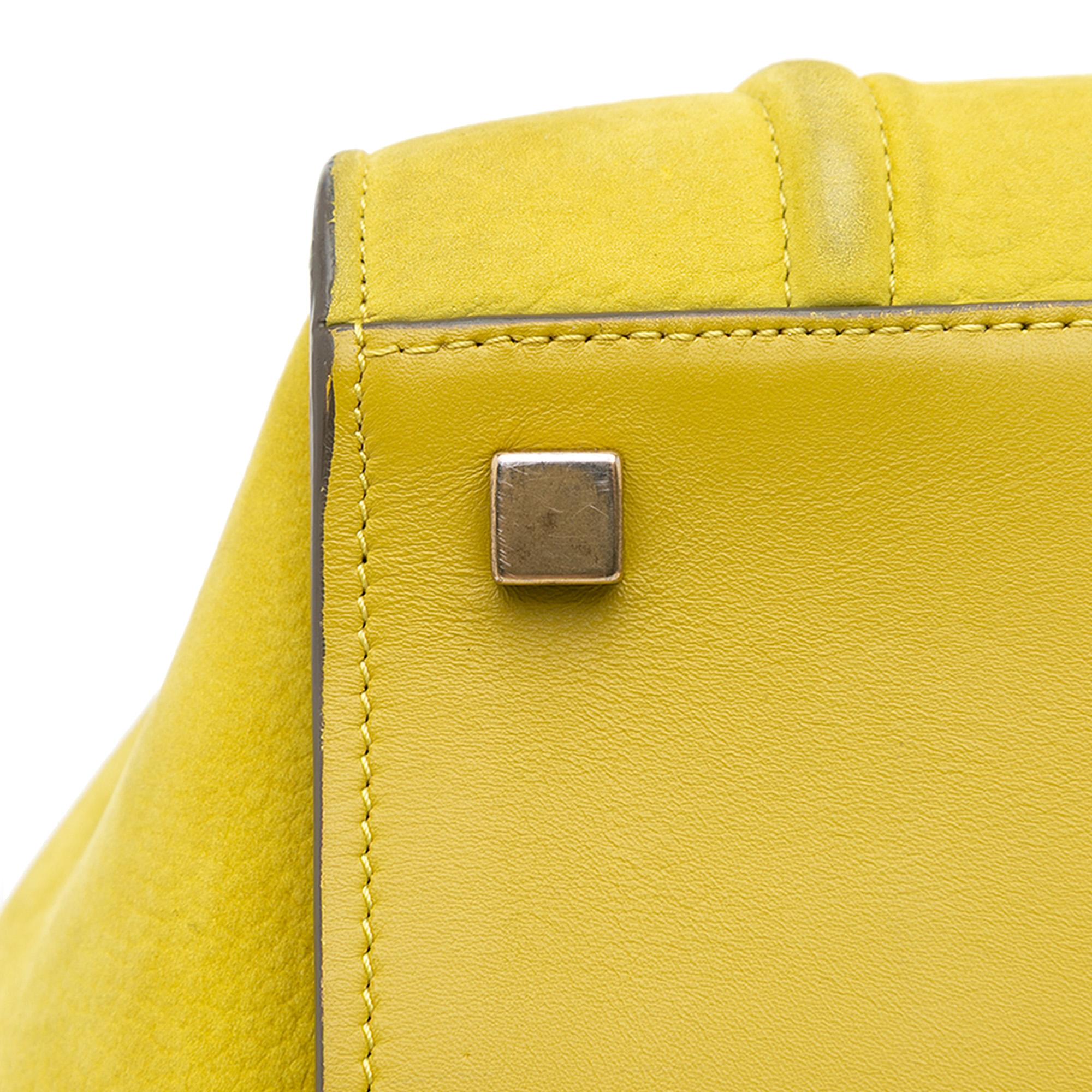 Celine Medium Leather Phantom Luggage Tote