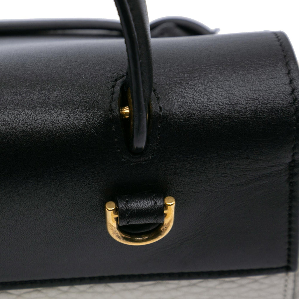 Celine Mini Bicolor Leather Belt Satchel