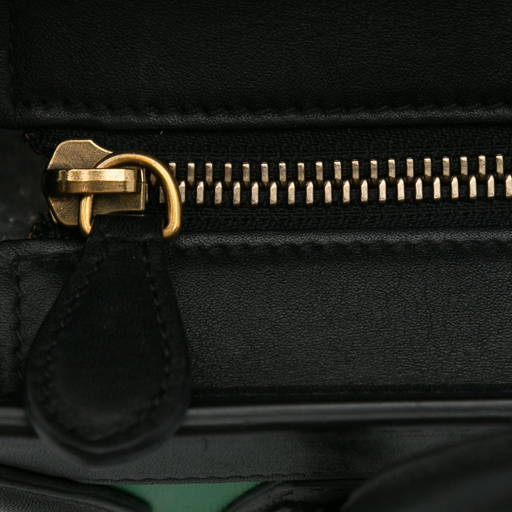 Celine Nano Bicolor Luggage (SHG-FsvhFg)