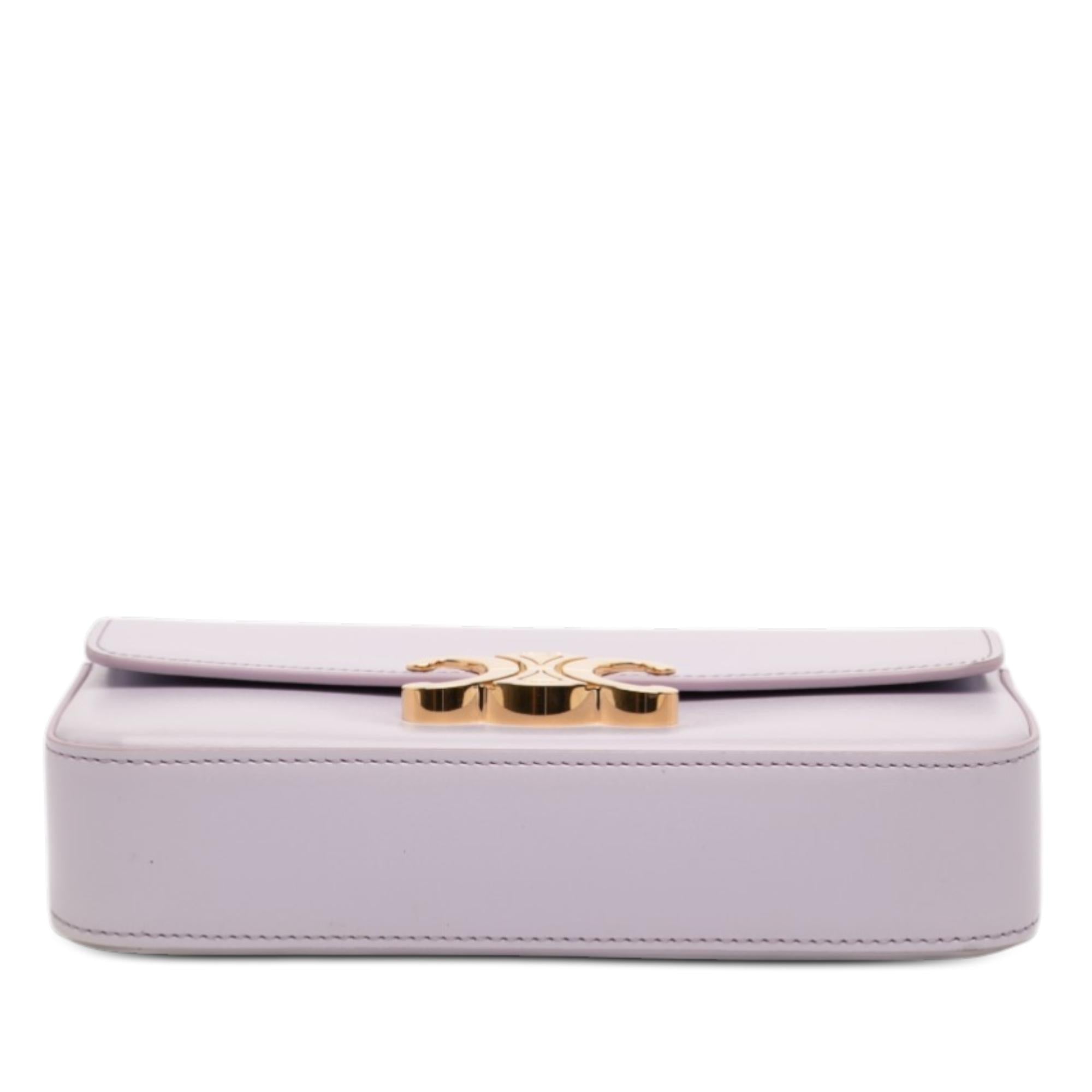 Celine Shiny Calfskin Claude Chain Shoulder Bag