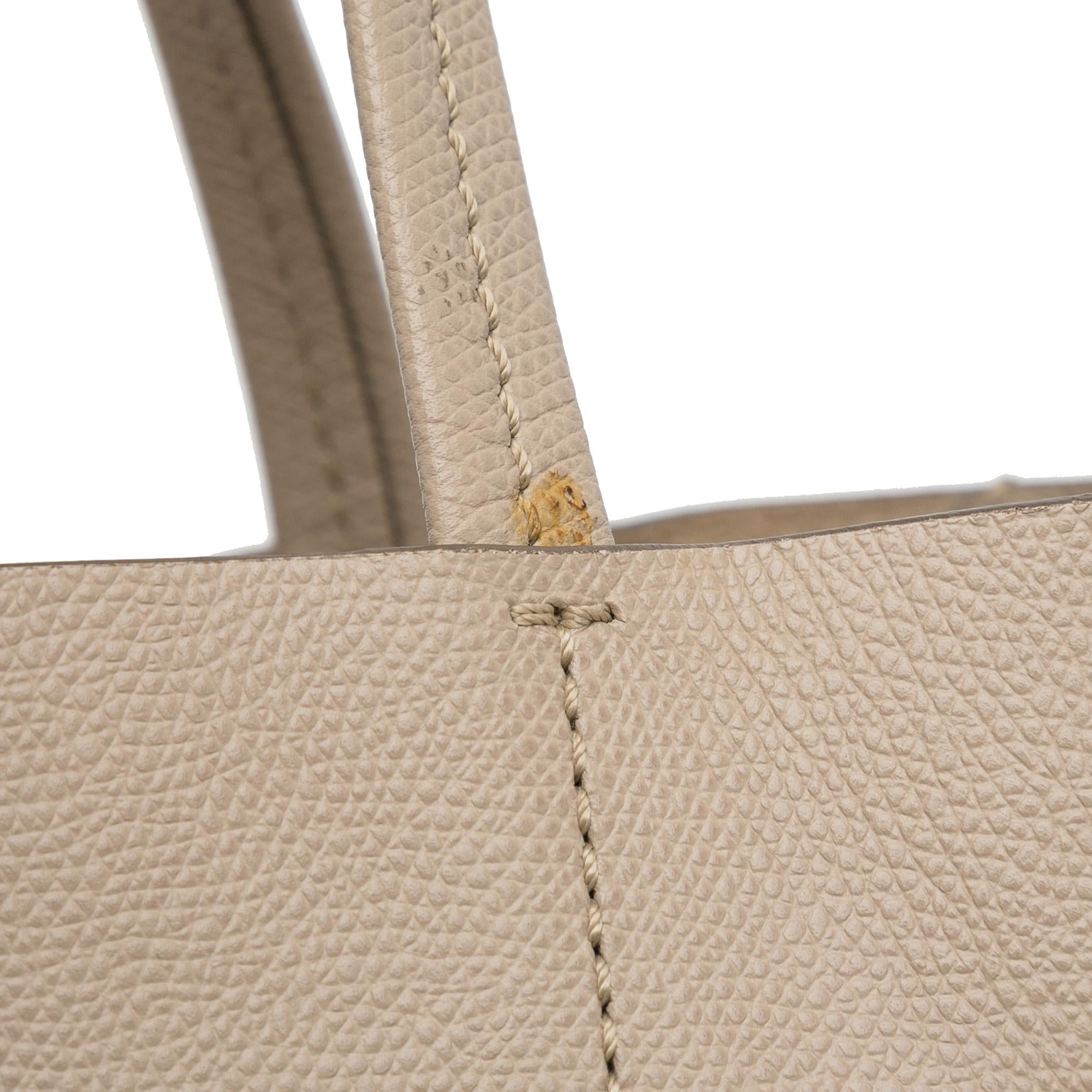 Celine Small Bicolor Vertical Cabas (SHG-EVkU72)
