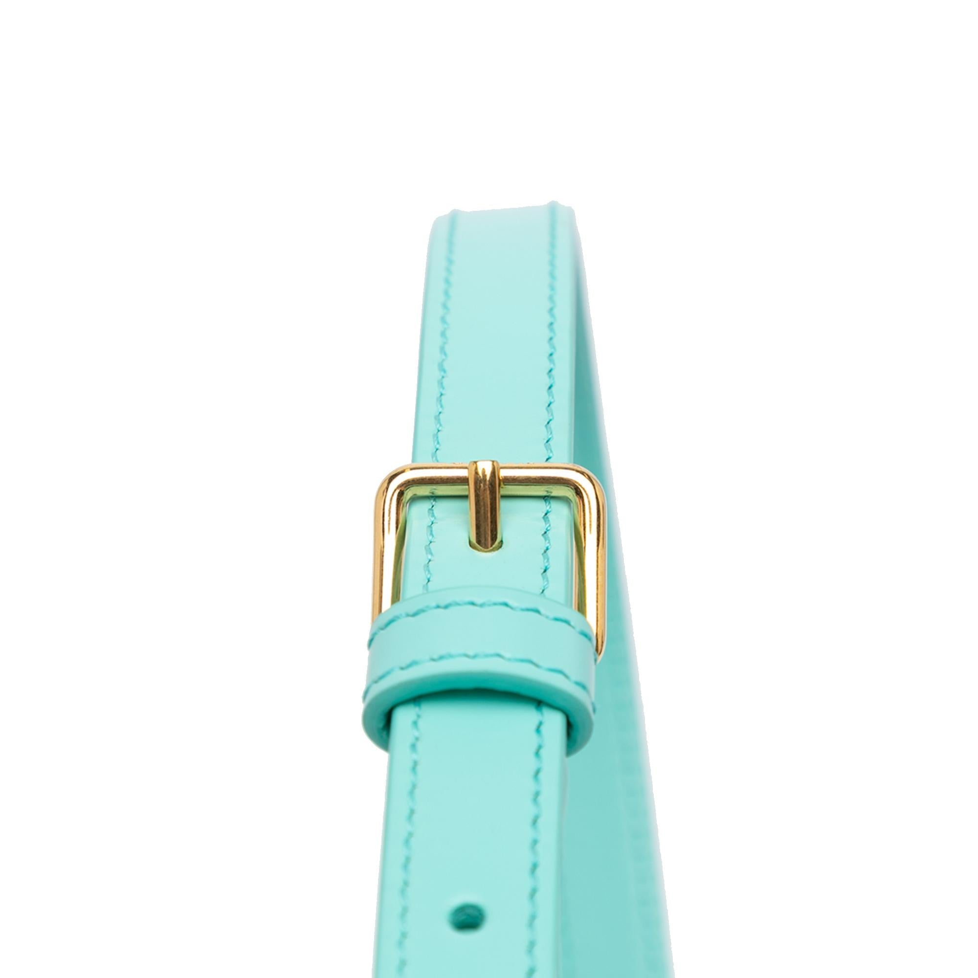 Celine Triomphe Leather Claude Shoulder Bag