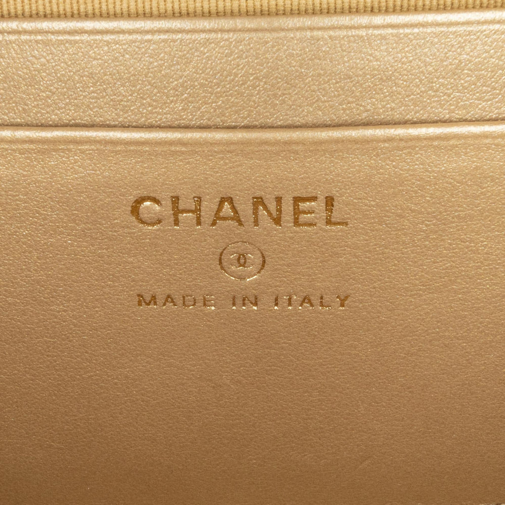 Chanel CC Quilted Lambskin Pearl Crush Camera Bag (SHG-5B4yyg)