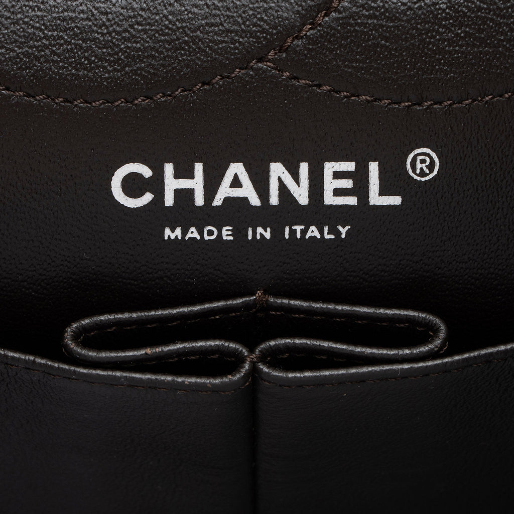 Chanel Iridescent Calfskin Reissue 227 Double Flap Bag