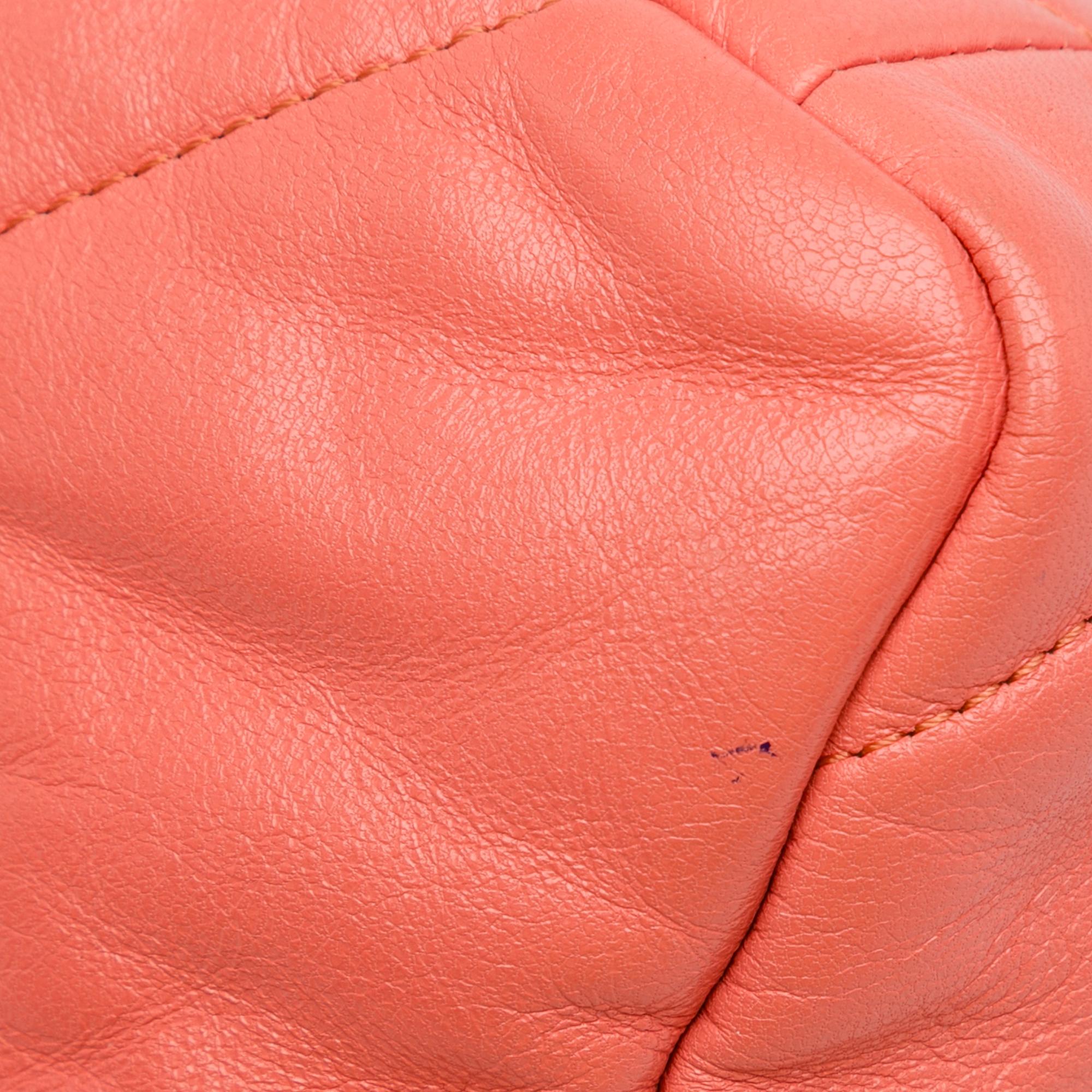 Chanel Medium Lambskin 19 Flap (SHG-3kILnI)