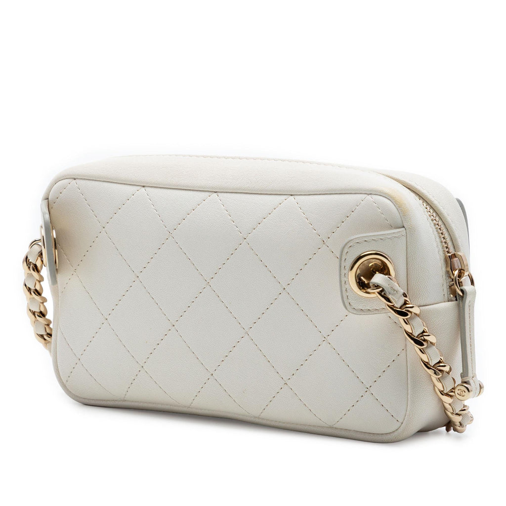 Chanel Quilted Goatskin Casual Trip Waist Bag
