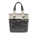 Chanel Small Bicolor Quilted Coated Canvas Paris Biarritz Tote