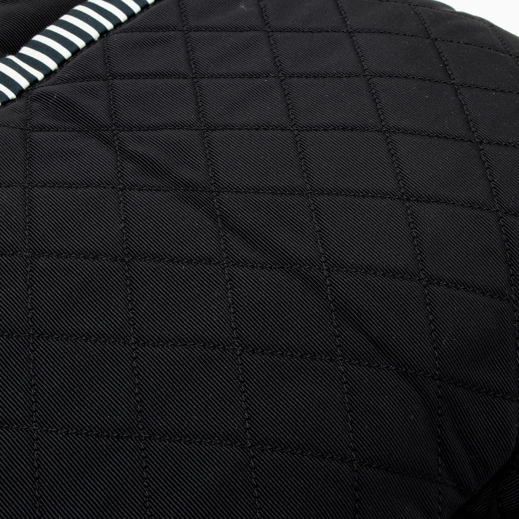 Chanel Striped Canvas Rialto Shoulder Bag (SHF-BaPjh9)