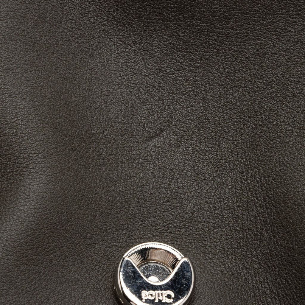 Chloe Calfskin Faye Day Medium Shoulder Bag (SHF-sr4xyz)